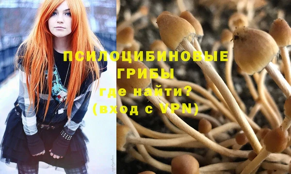 амф Алексеевка