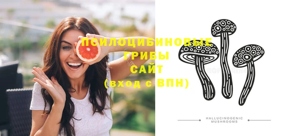 мдпв Липки